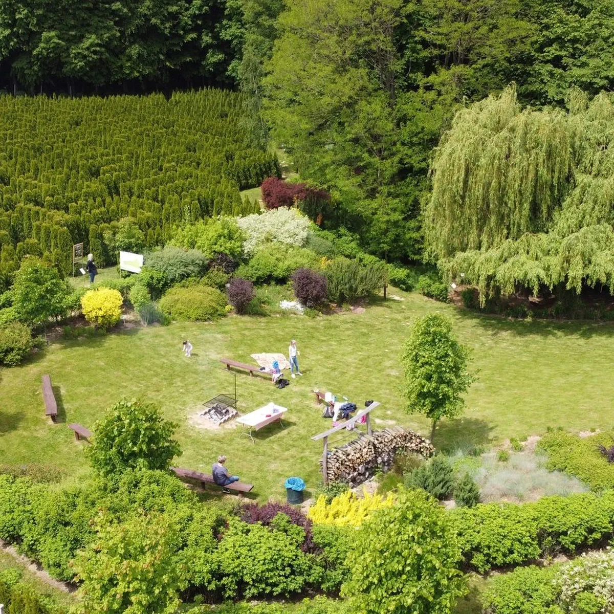 280289373 4685268231579347 7082550348517796207 n