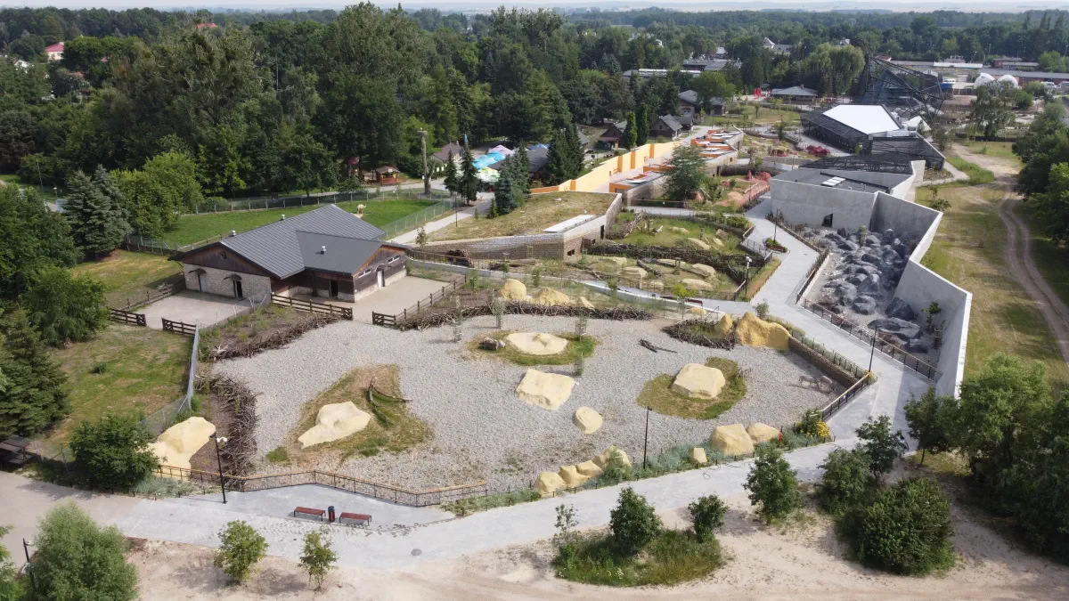 4 wybiegi zierzat Afryki fot Karol Ziolkowski 1