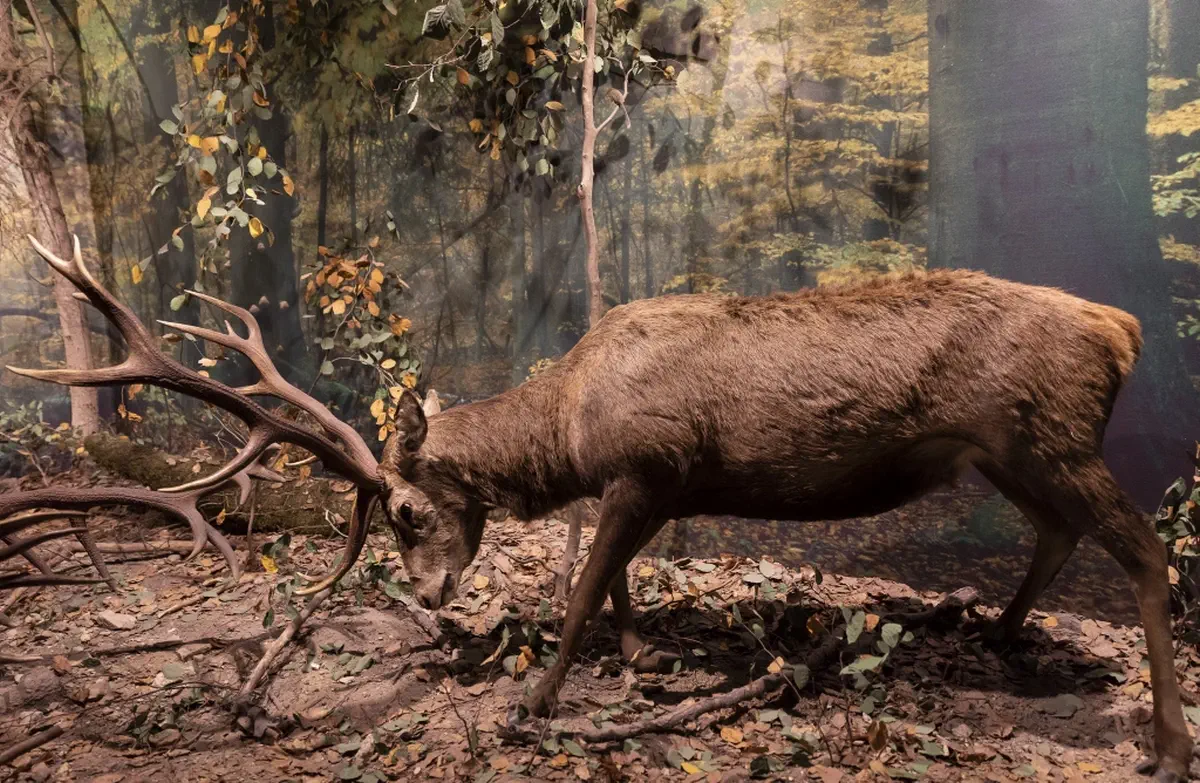 454878 qsbk New C63A0728 83.jpg