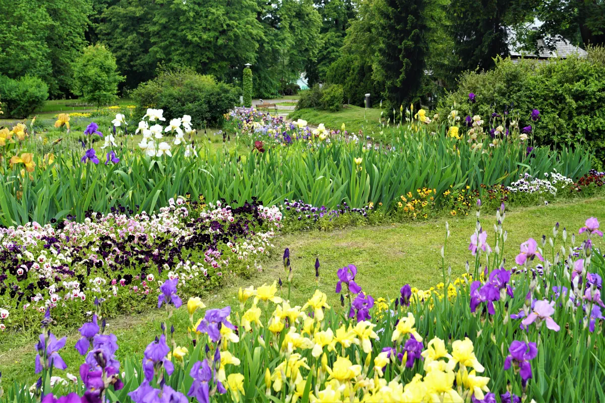 Fragment kolekcji kosaccow