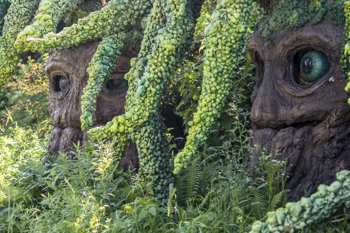 Magiczne Ogrody foto LROT 2023 2