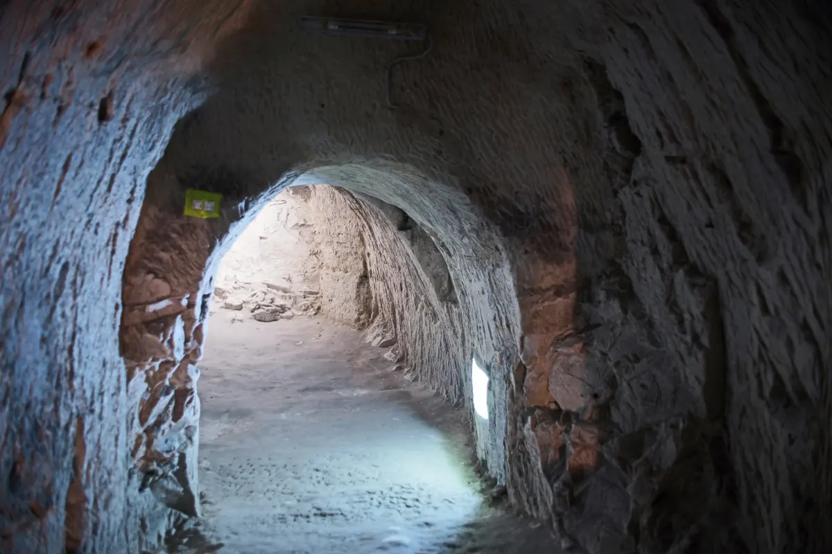 fot Pawel Klajnert 1