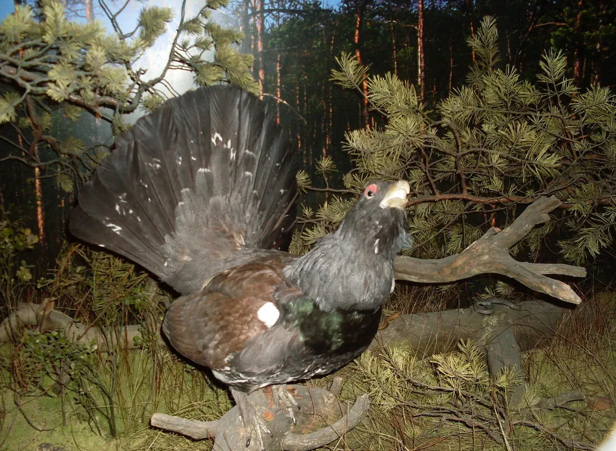 zwierzyniec osrodek edukacyjno muzealny RPN fot Monika Kawka